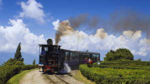 5 Indian hill stations where toy trains, cable cars, and tea gardens steal the show