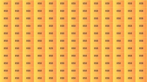 Optical Illusion: Do you have the sharpness to uncover the sneaky 828 hiding among 858s??