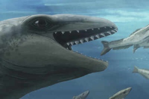 ‘Weird mash-up of whale, seal and Pokémon’: New ‘nightmare Muppet’ fossil sheds light on evolution; tiny predator had shark-like jaws, bulging eyes