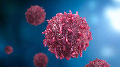 Cancer breakthrough: AUN bacteria cancer treatment kills tumours without immune system support