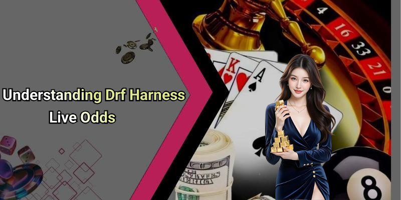 Understanding Drf Harness Live Odds