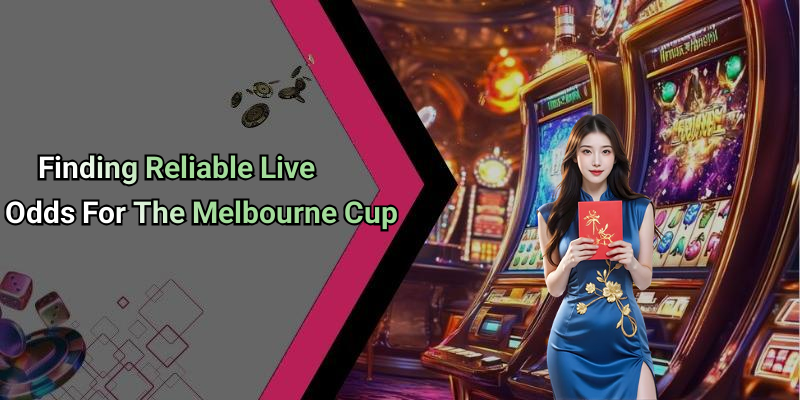 Finding Reliable Live Odds For The Melbourne Cup