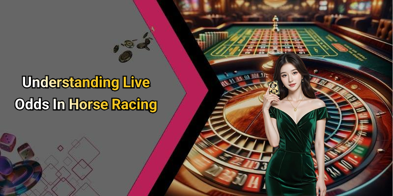 Understanding Live Odds In Horse Racing