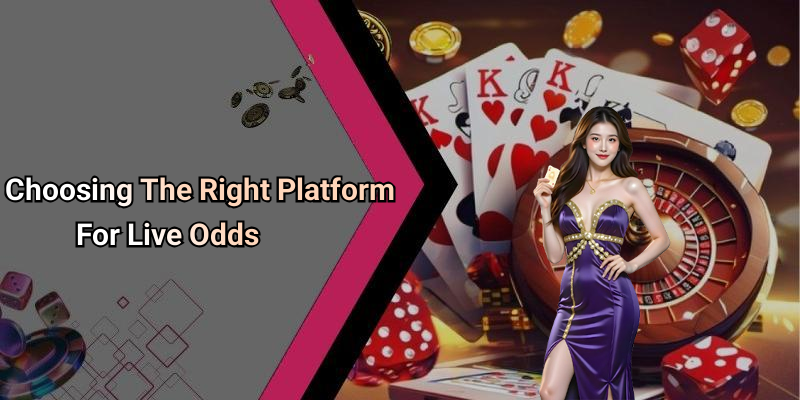 Choosing The Right Platform For Live Odds